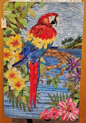 sch2025eastonmeriulmacaw1st2.jpg